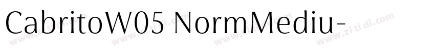 CabritoW05 NormMediu字体转换